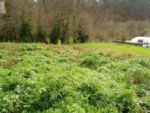 Terreno  Venda em Fornos,Santa Maria da Feira