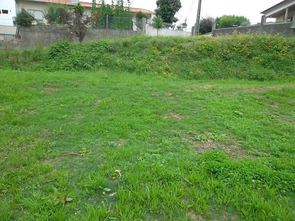 Terreno  Venda em Vila de Cucujães,Oliveira de Azeméis