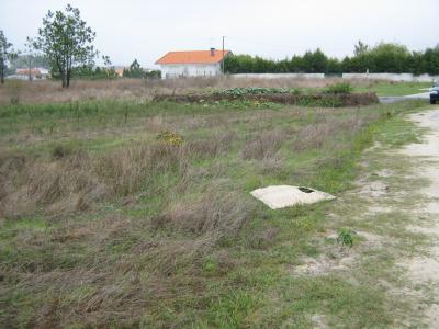 Terreno  Venda em Ovar, São João, Arada e São Vicente de Pereira Jusã,Ovar