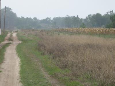 Terreno  Venda em Ovar, São João, Arada e São Vicente de Pereira Jusã,Ovar