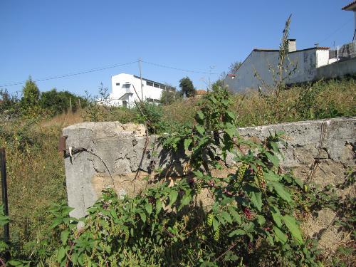 Terreno  Venda em São Roque,Oliveira de Azeméis