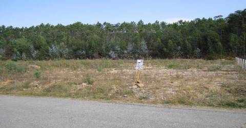 Terreno em São Roque, Oliveira de Azeméis