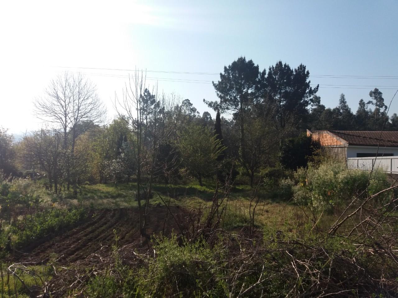 Terreno  Venda em Fiães,Santa Maria da Feira