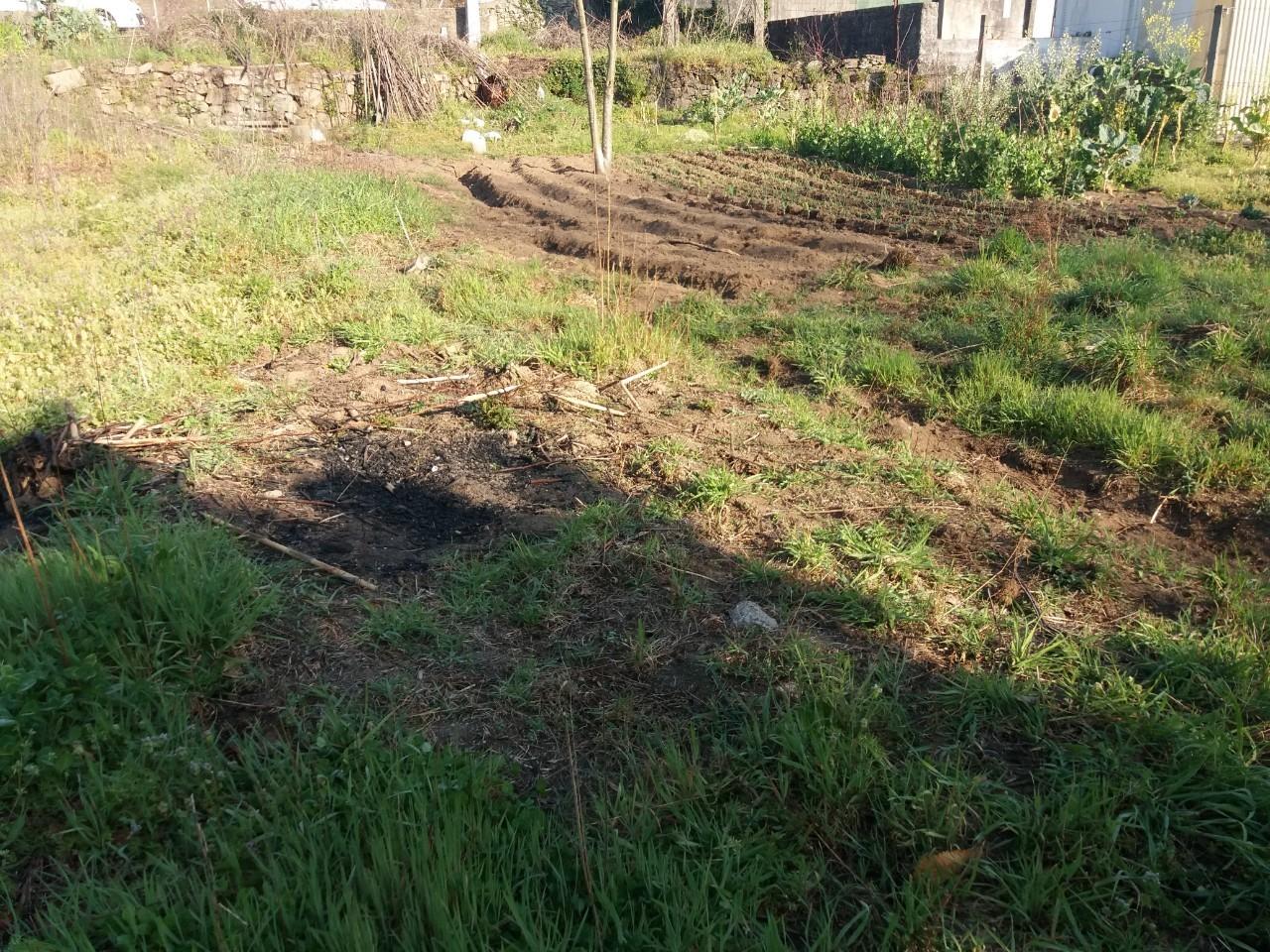 Terreno  Venda em Fiães,Santa Maria da Feira