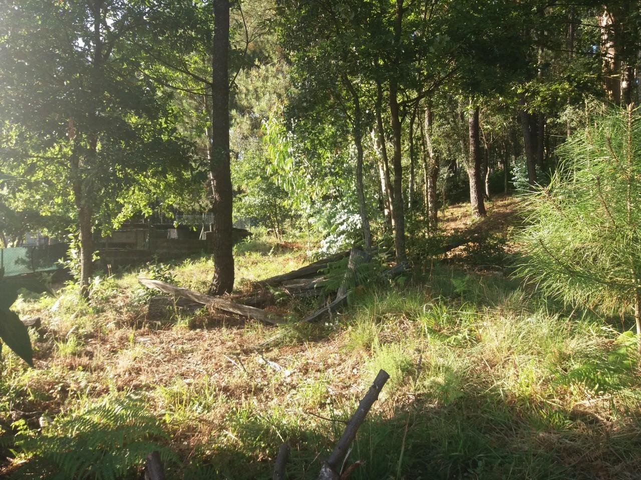 Terreno  Venda em Escariz,Arouca