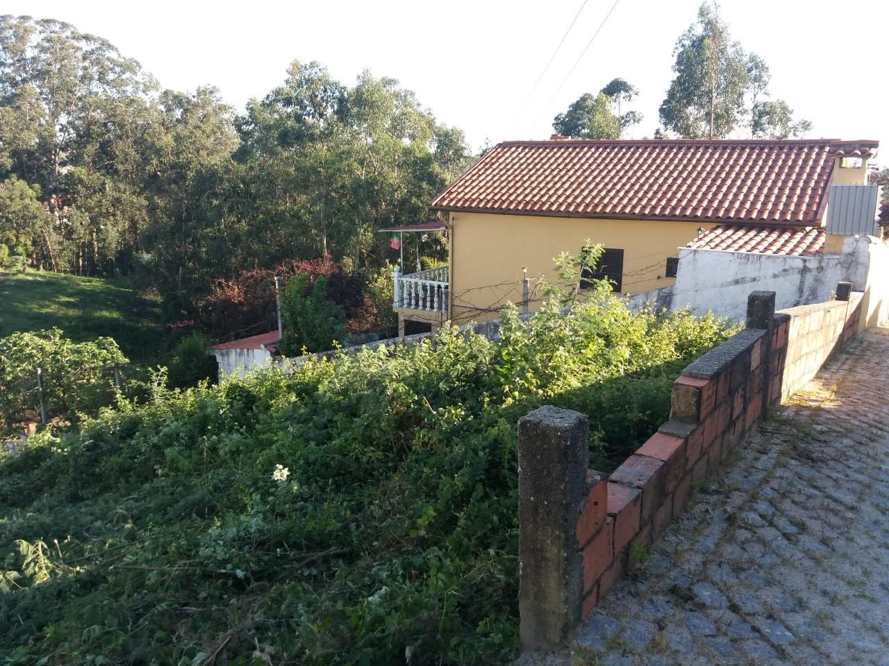 Terreno  Venda em Vila de Cucujães,Oliveira de Azeméis