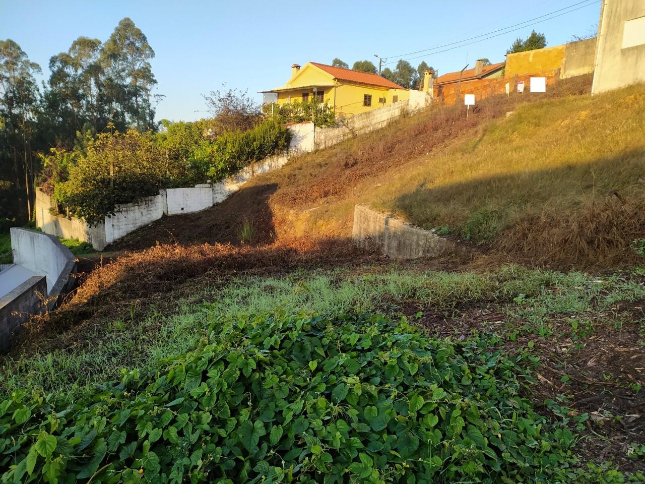 Terreno  Venda em Vila de Cucujães,Oliveira de Azeméis