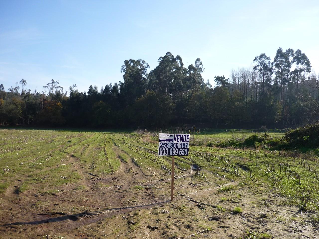 Terreno  Venda em São Miguel do Souto e Mosteirô,Santa Maria da Feira