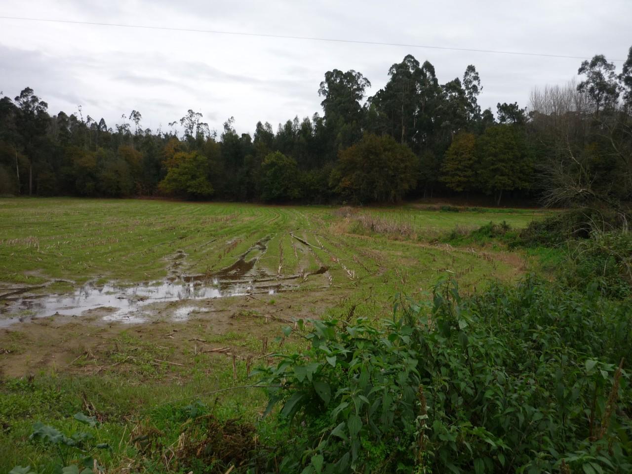 Terreno  Venda em São Miguel do Souto e Mosteirô,Santa Maria da Feira