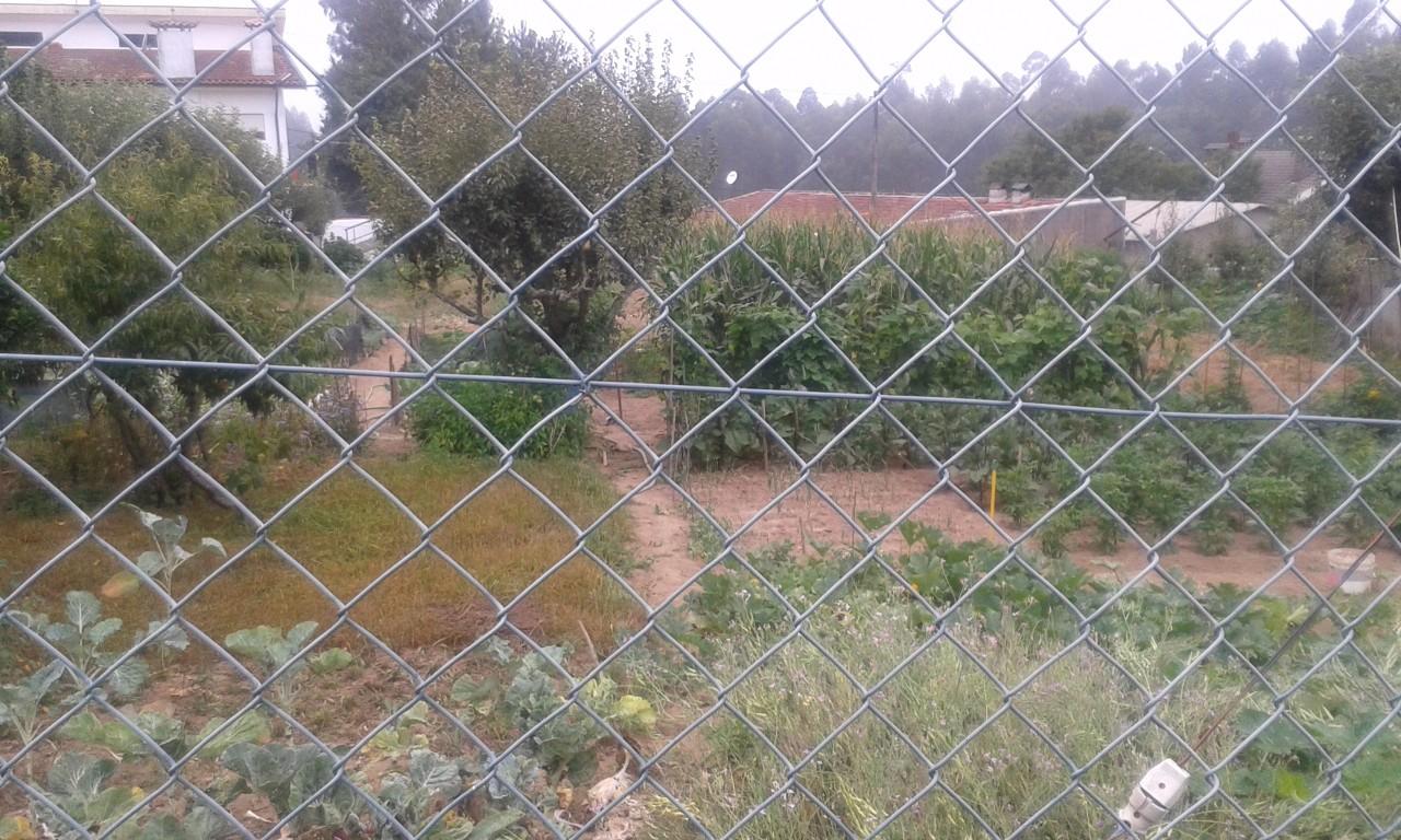 Terreno  Venda em Arrifana,Santa Maria da Feira