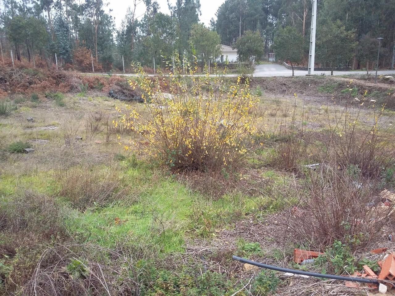 Terreno  Venda em Fajões,Oliveira de Azeméis