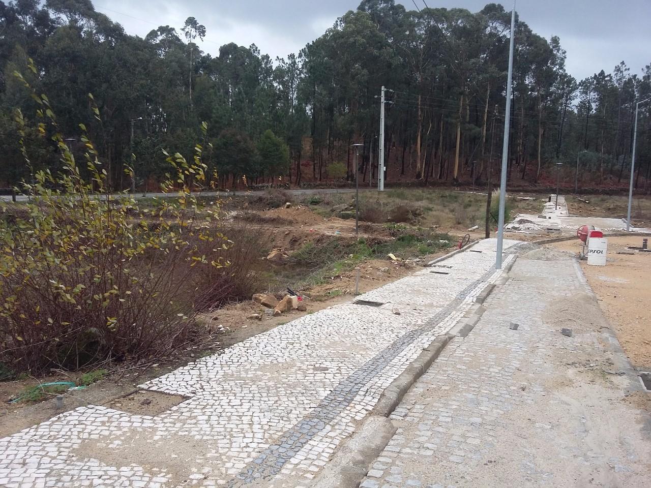 Terreno  Venda em Fajões,Oliveira de Azeméis