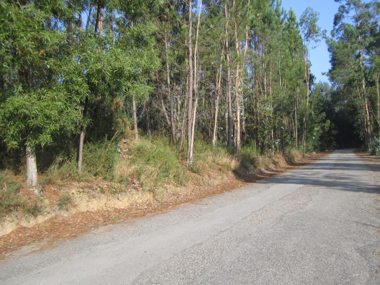 Terreno  Venda em Caldas de São Jorge e Pigeiros,Santa Maria da Feira