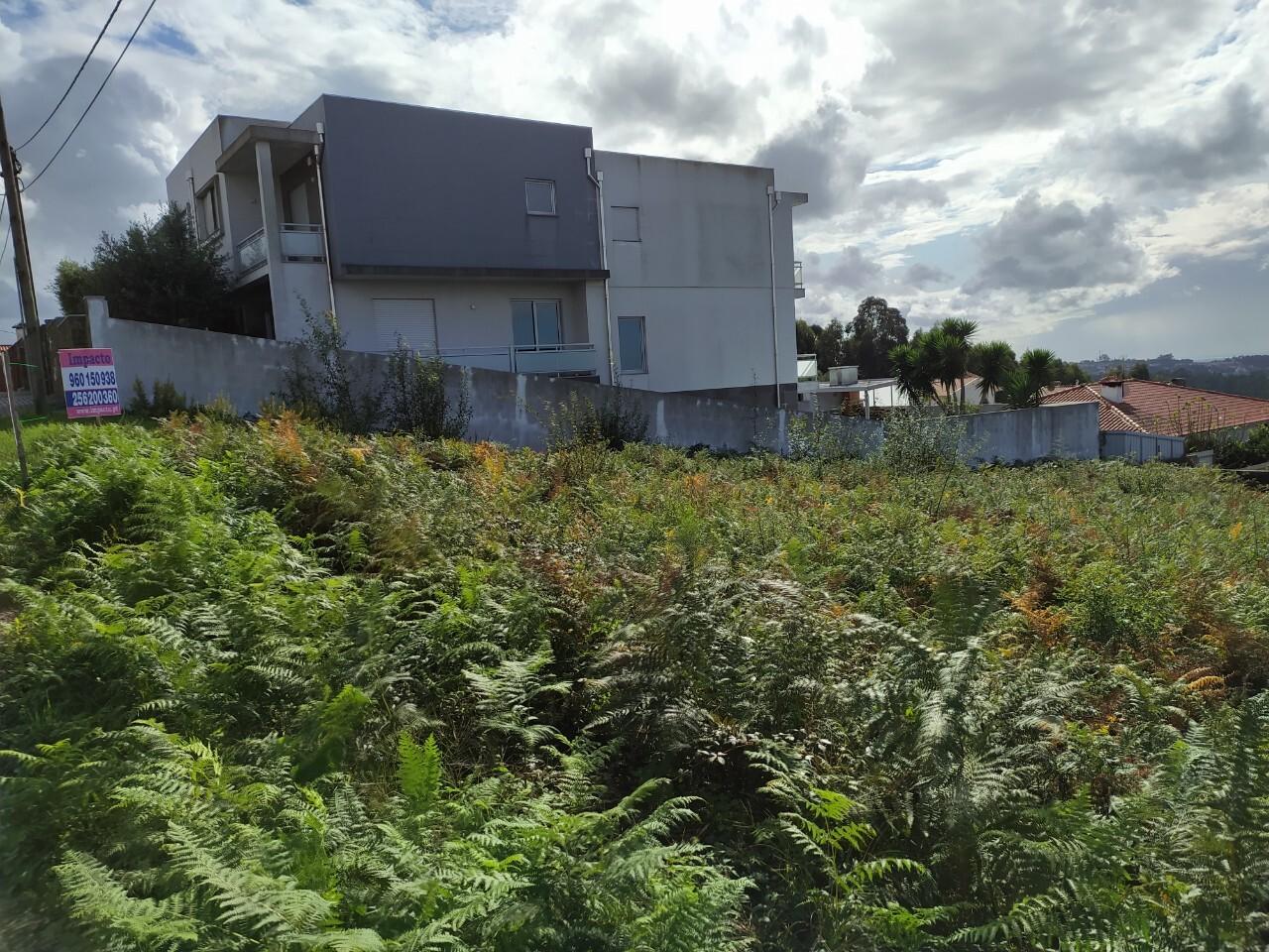 Terreno  Venda em Escapães,Santa Maria da Feira