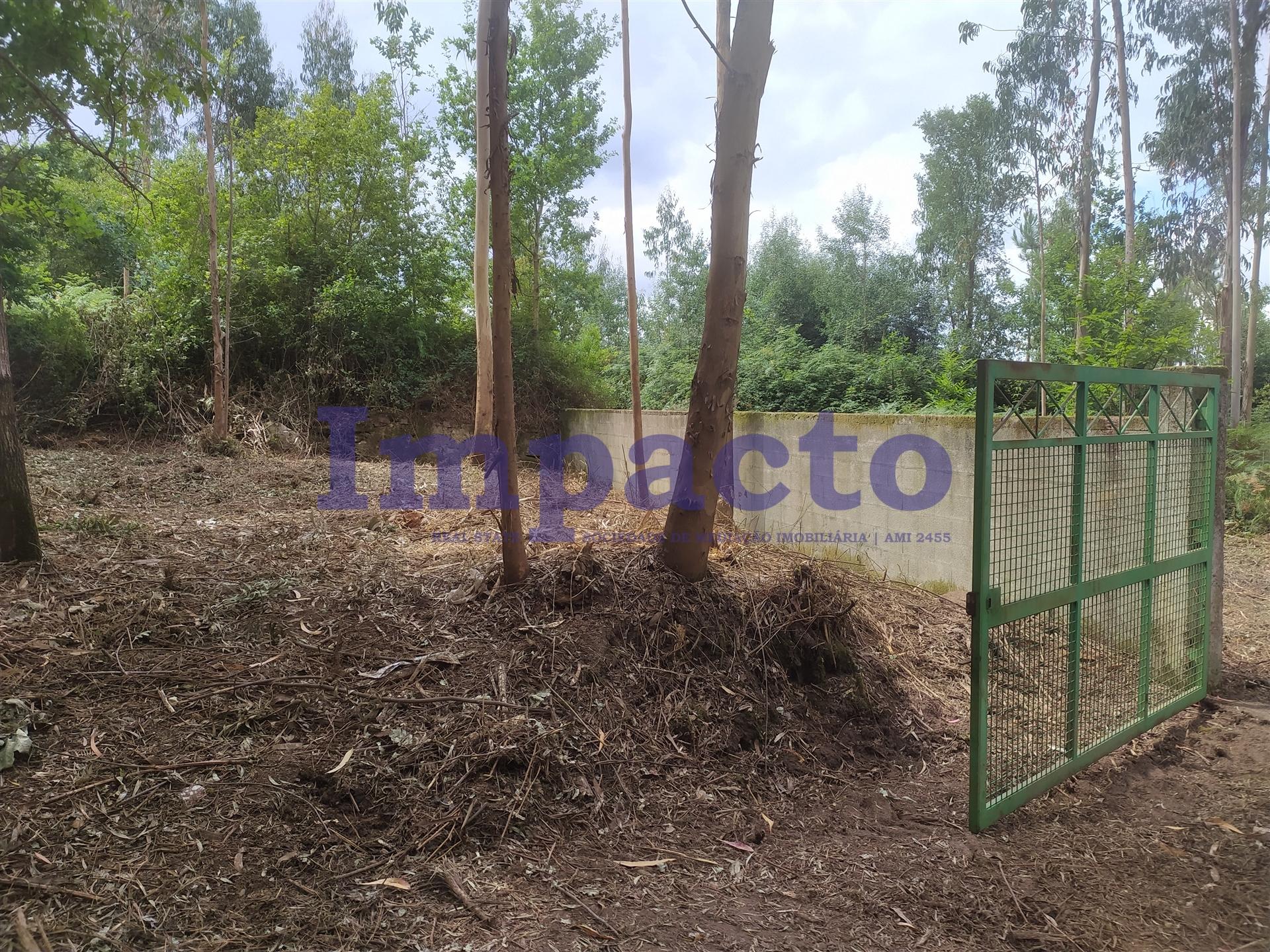 Terreno  Venda em Milheirós de Poiares,Santa Maria da Feira