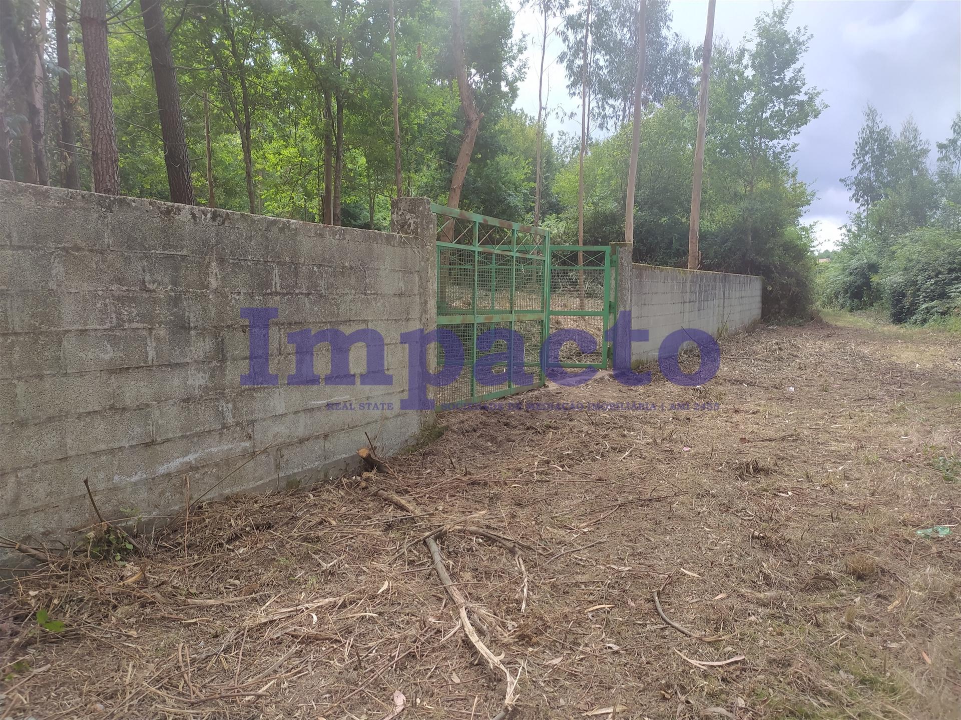 Terreno  Venda em Milheirós de Poiares,Santa Maria da Feira