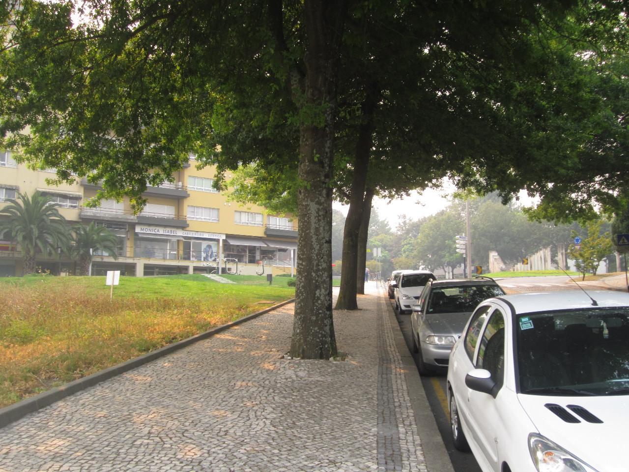 Terreno  Venda em São João da Madeira,São João da Madeira