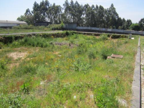 Terreno  Venda em Escapães,Santa Maria da Feira