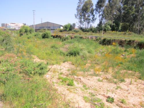 Terreno  Venda em Escapães,Santa Maria da Feira