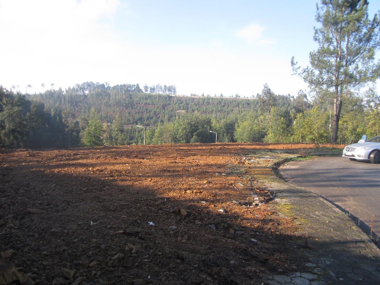 Terreno  Venda em Nogueira do Cravo e Pindelo,Oliveira de Azeméis