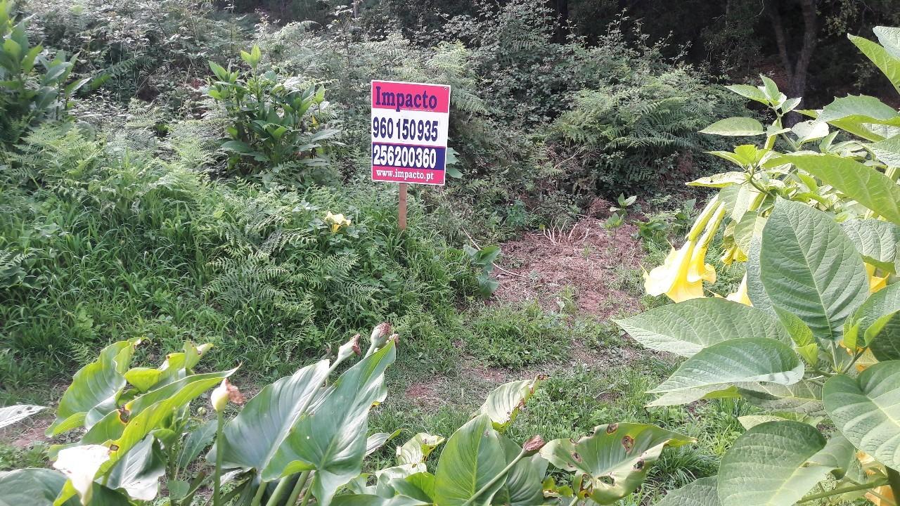 Terreno  Venda em Vila de Cucujães,Oliveira de Azeméis