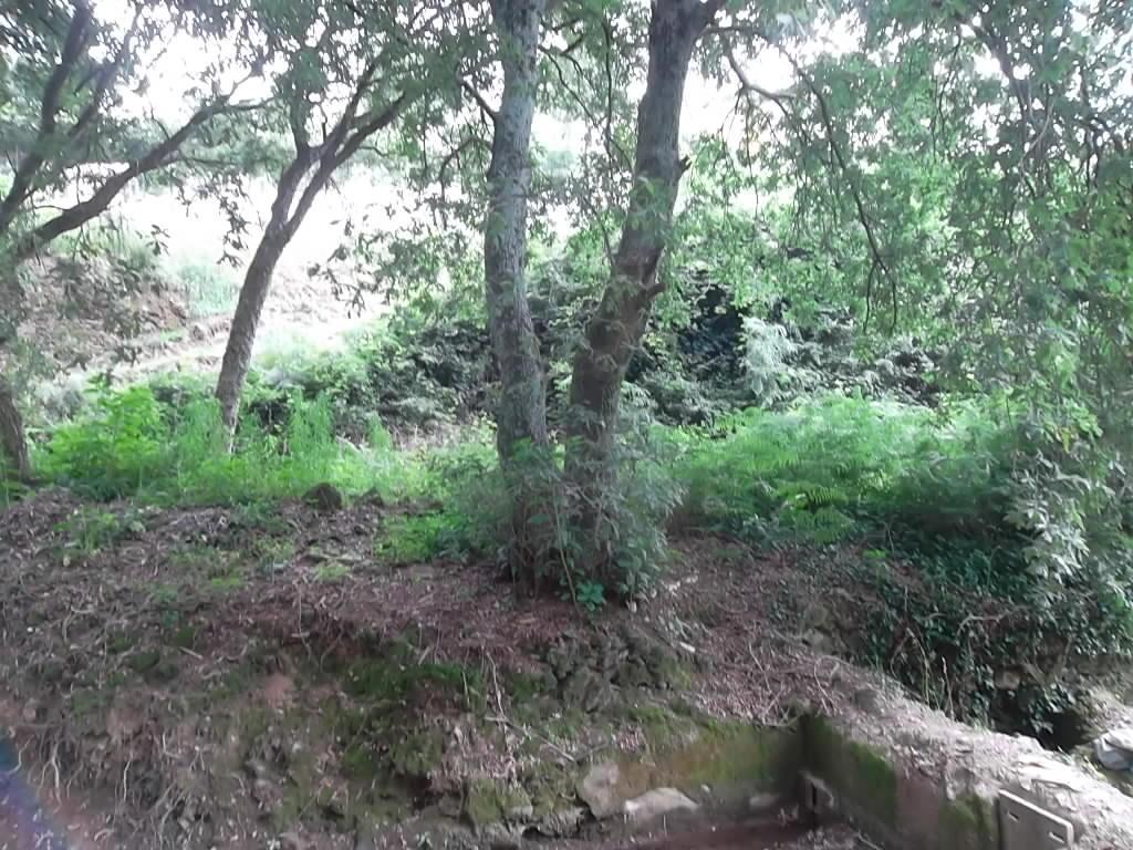 Terreno  Venda em Vila de Cucujães,Oliveira de Azeméis