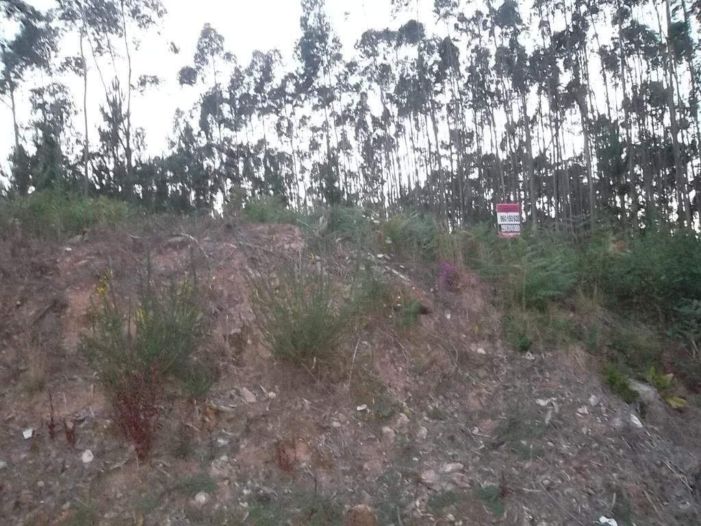 Terreno  Venda em Macieira de Sarnes,Oliveira de Azeméis