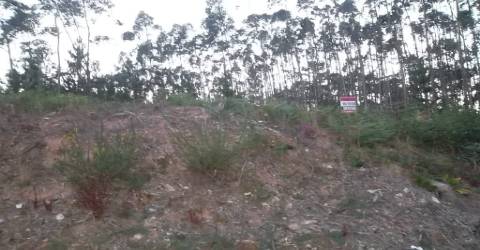 Terreno para construção em Oliveira de Azeméis.