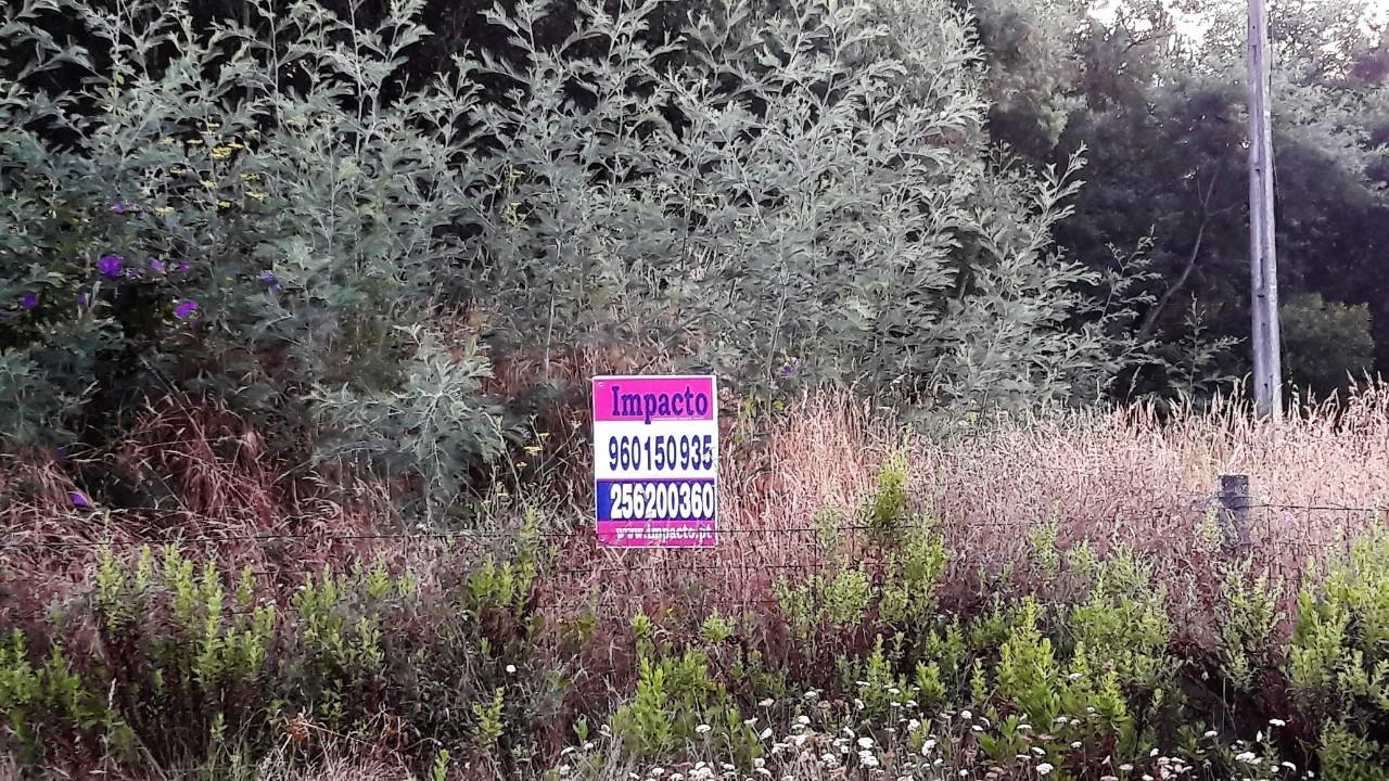 Terreno  Venda em Oliveira de Azeméis, Santiago de Riba-Ul, Ul, Macinhata da Seixa e Madail,Oliveira de Azeméis