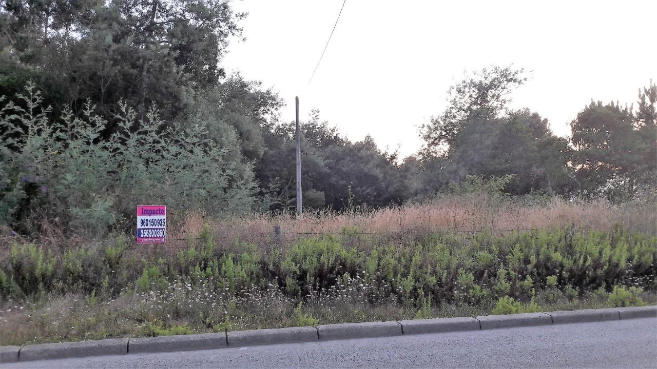 Terreno  Venda em Oliveira de Azeméis, Santiago de Riba-Ul, Ul, Macinhata da Seixa e Madail,Oliveira de Azeméis