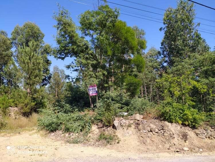 Terreno  Venda em Carregosa,Oliveira de Azeméis