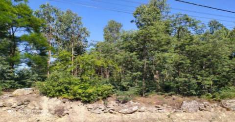 Terreno em Carregosa, Oliveira de Azeméis