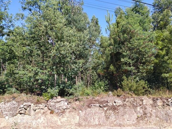 Terreno  Venda em Carregosa,Oliveira de Azeméis