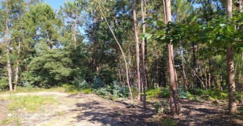 Terreno em Carregosa, Oliveira de Azeméis