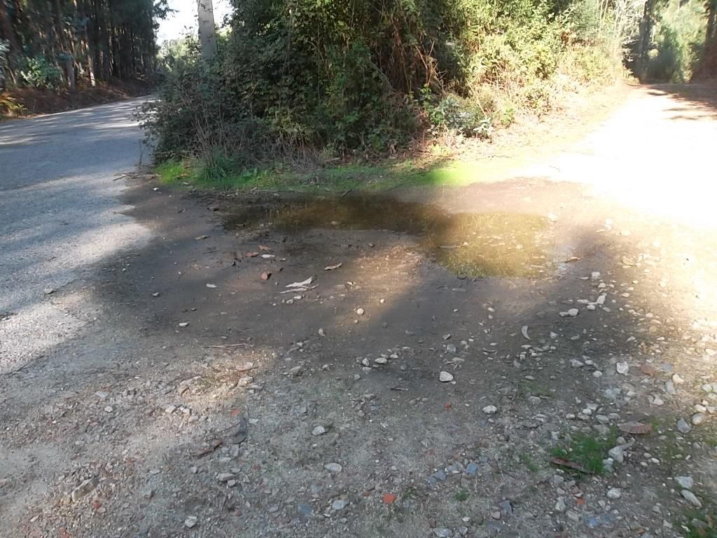 Terreno  Venda em Macieira de Sarnes,Oliveira de Azeméis