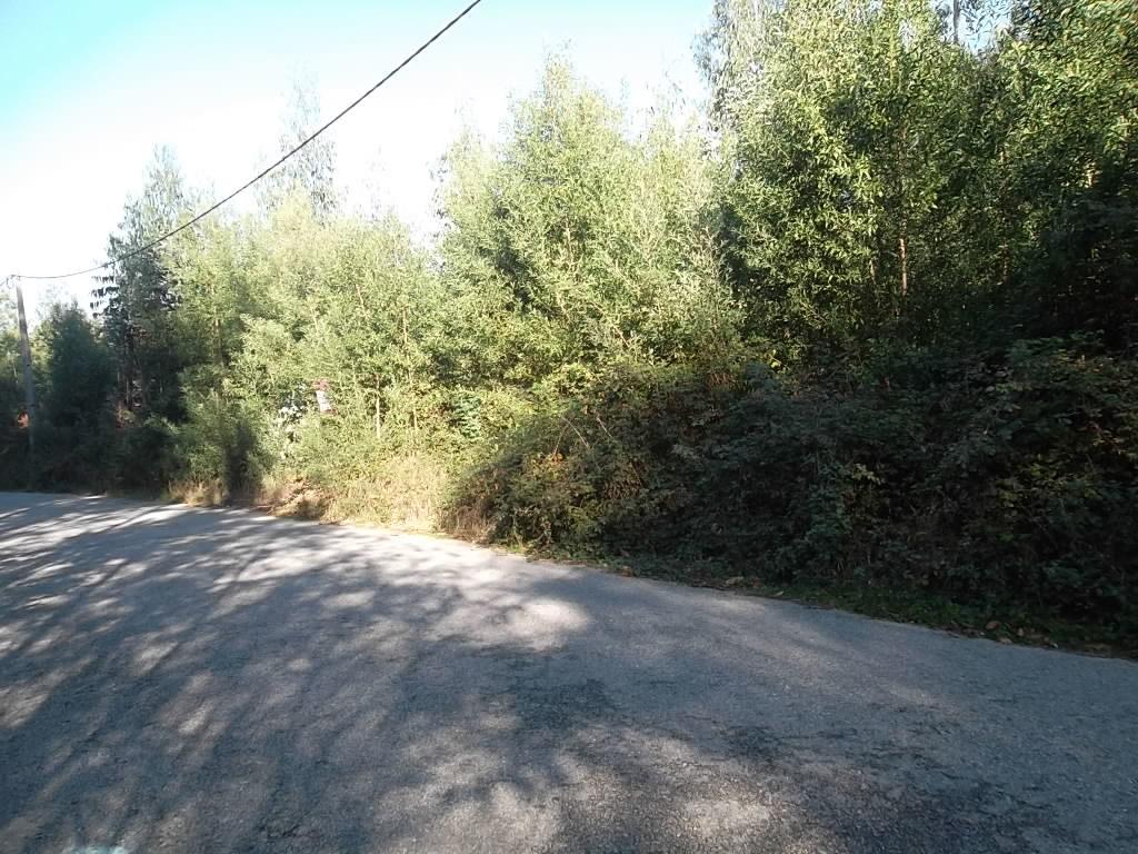 Terreno  Venda em Macieira de Sarnes,Oliveira de Azeméis