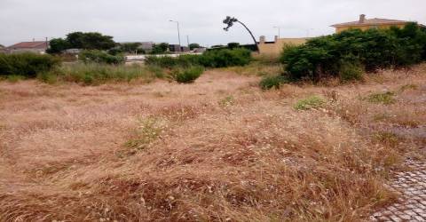 Terreno para construção na Torreira, Aveiro