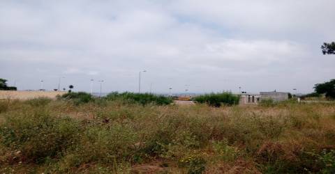 Terreno para construção na Torreira, Aveiro