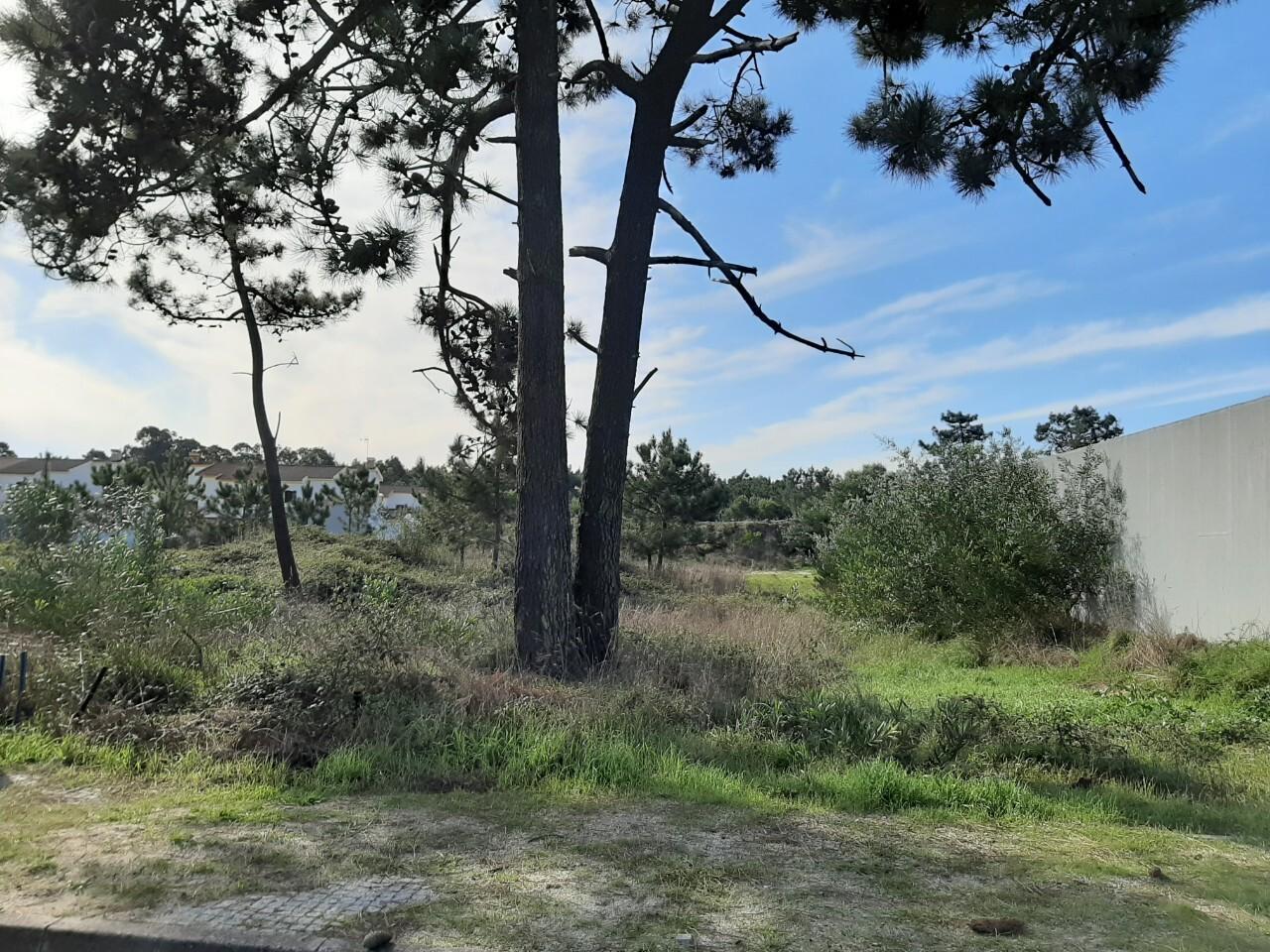 Terreno  Venda em Torreira,Murtosa