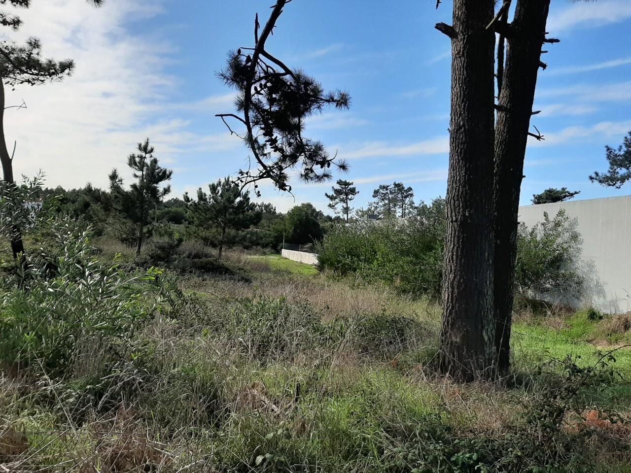 Terreno  Venda em Torreira,Murtosa