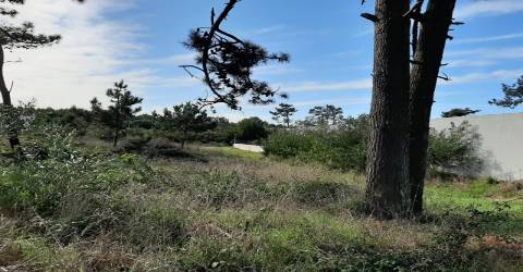 Terreno com projeto aprovado na Torreira, Murtosa