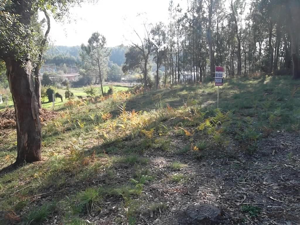 Terreno  Venda em Nogueira do Cravo e Pindelo,Oliveira de Azeméis