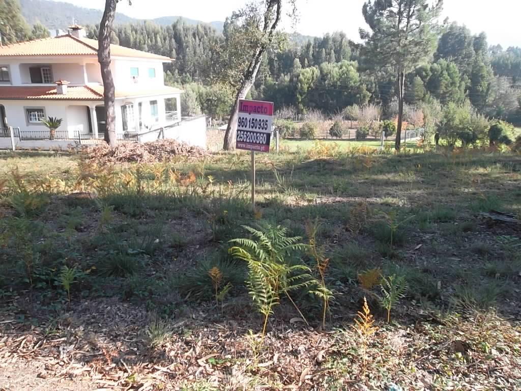 Terreno  Venda em Nogueira do Cravo e Pindelo,Oliveira de Azeméis