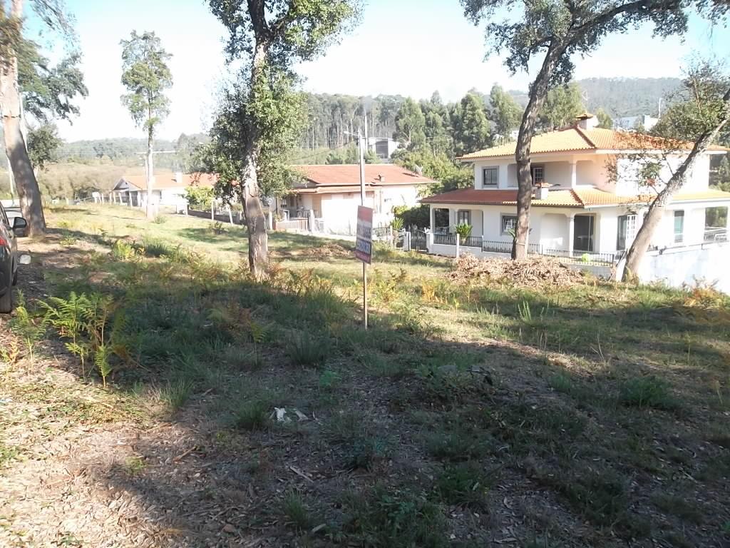 Terreno  Venda em Nogueira do Cravo e Pindelo,Oliveira de Azeméis