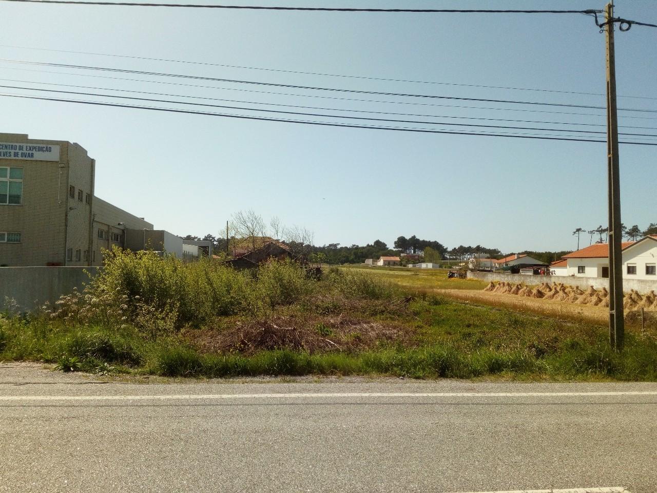 Terreno  Venda em Ovar, São João, Arada e São Vicente de Pereira Jusã,Ovar