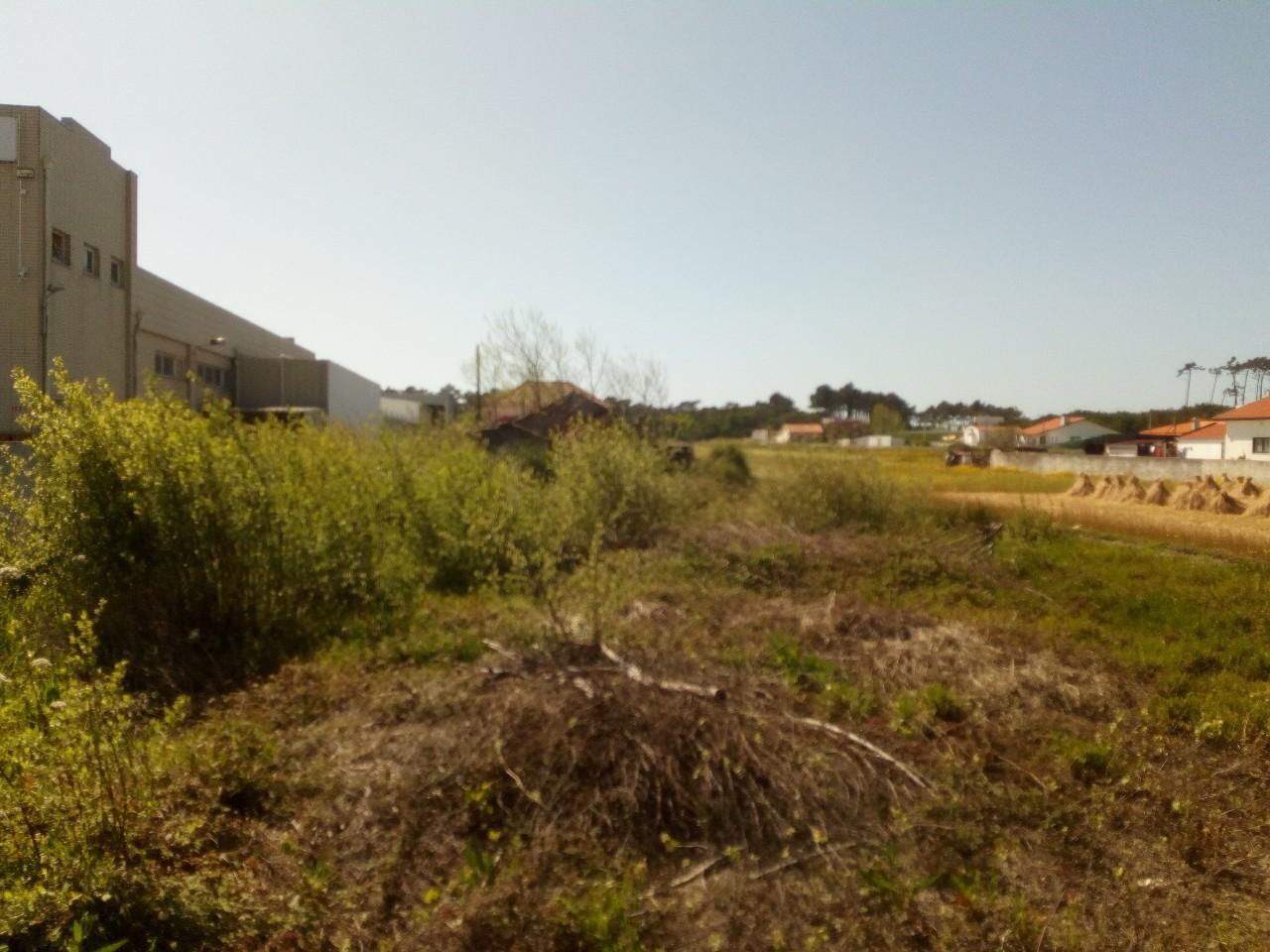 Terreno  Venda em Ovar, São João, Arada e São Vicente de Pereira Jusã,Ovar