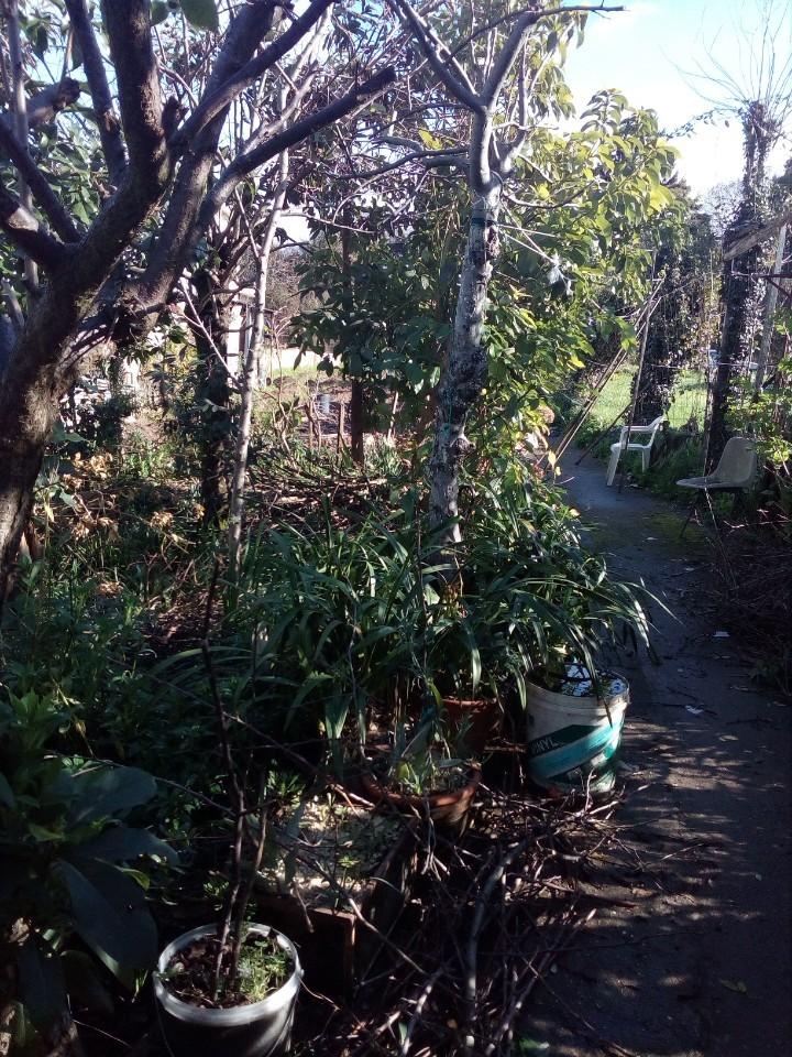 Terreno  Venda em São João da Madeira,São João da Madeira