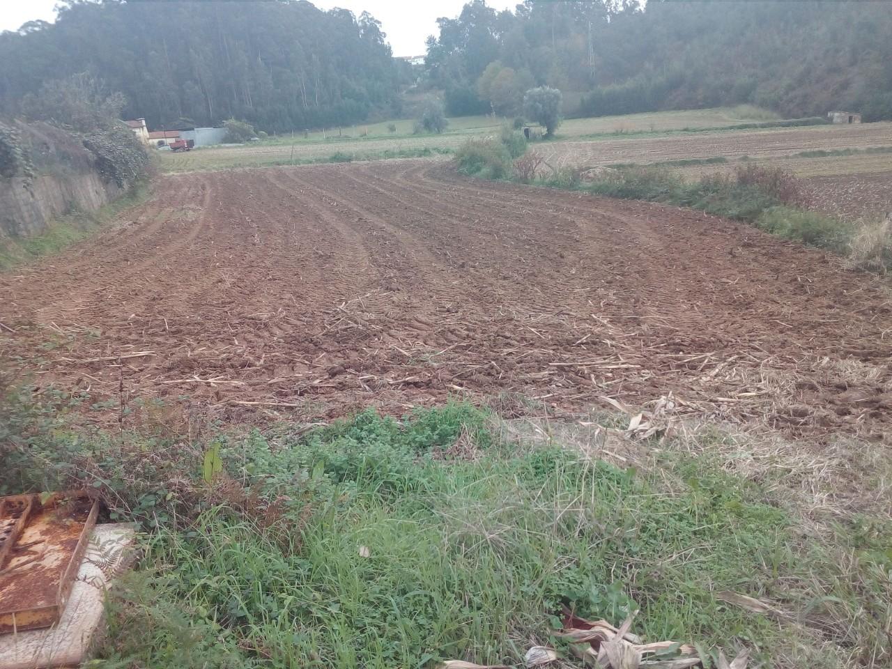 Terreno  Venda em Vila de Cucujães,Oliveira de Azeméis