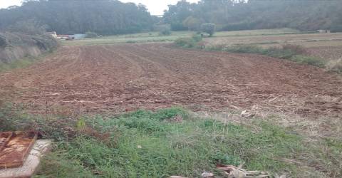 Terreno com viabilidade de construção em Oliveira de Azeméis.
