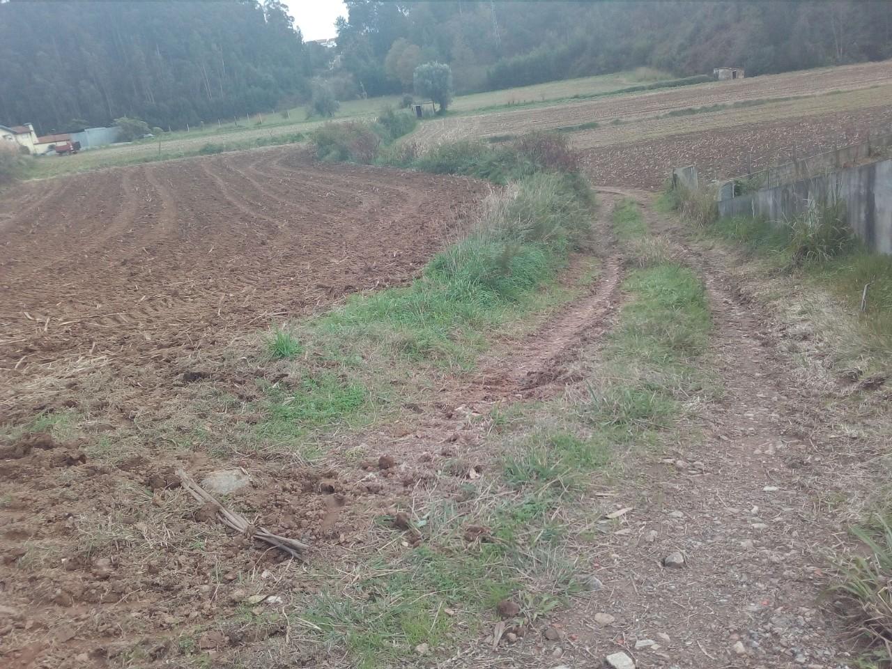 Terreno  Venda em Vila de Cucujães,Oliveira de Azeméis